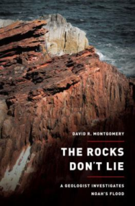 The rocks dont lie a geologist investigates Noahs flood
