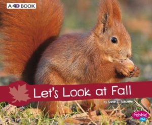 Let's look at fall a 4D book