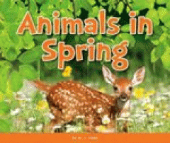 animals in spring