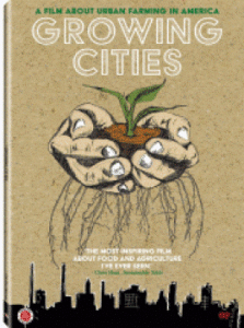 growing cities