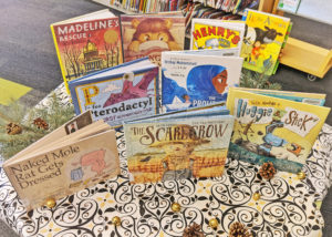 picture books for older kids