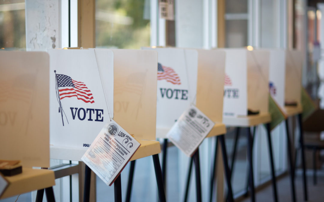 August 4, 2020 Bloomfield Hills Library Millage Election