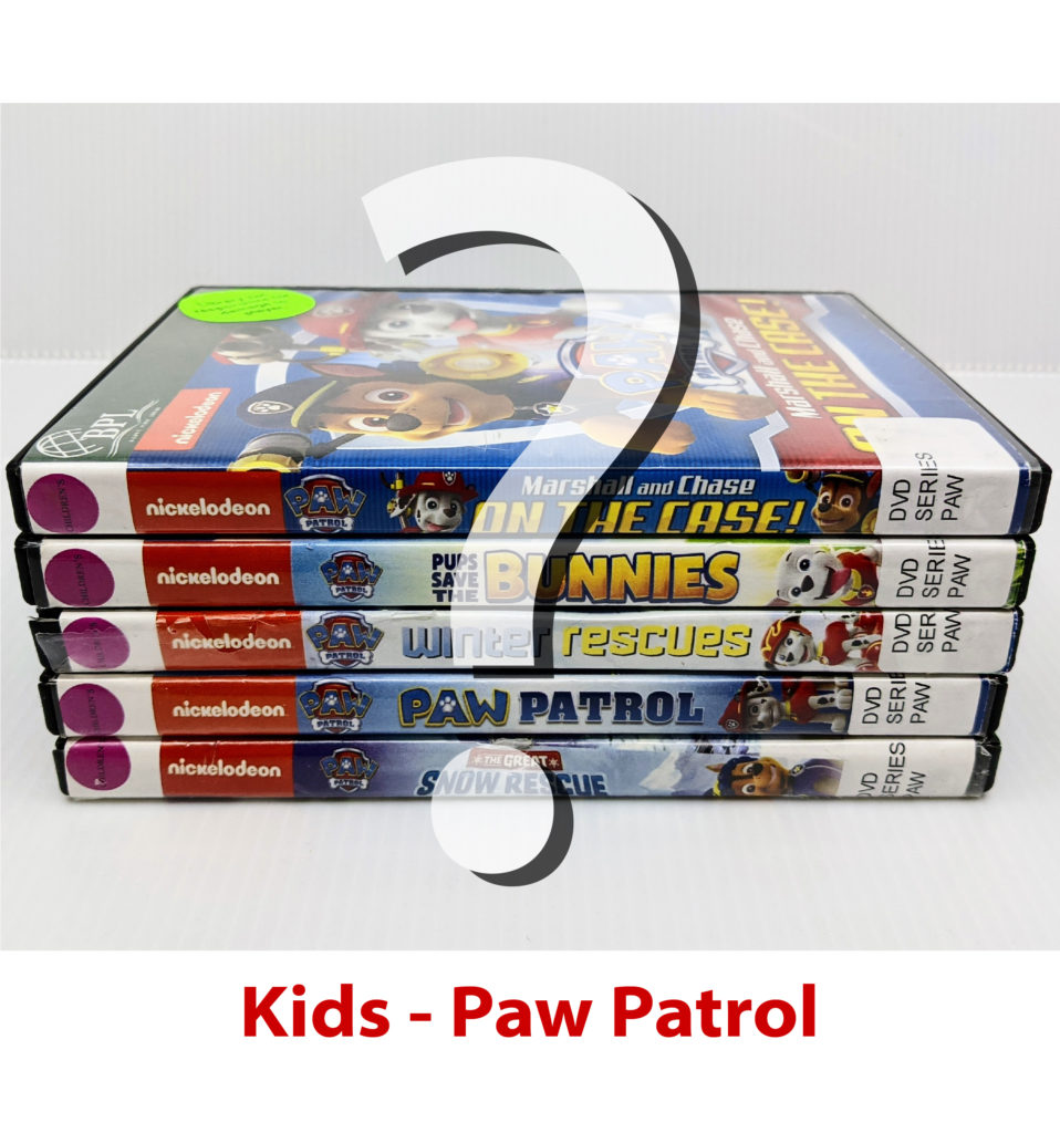 paw patrol dvd player set