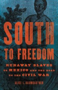 South to Freedom: Runaway Slaves to Mexico and the Road to the Civil War by Alice L Baumgartner