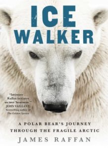 Ice Walker: A Polar Bear's Journey Through the Fragile Arctic by James Raffan