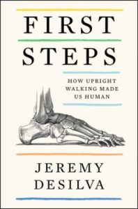 First Steps: How Upright Walking Made Us Human by Jeremy DeSilva