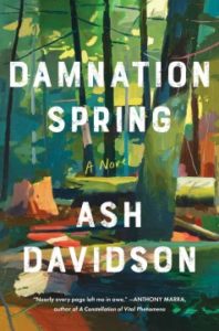 Damnation Spring: A Novel by Ash Davidson
