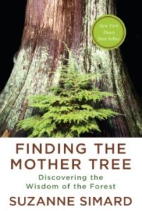 Finding the Mother Tree Discovering the Wisdom of the Forest by Suzanne Simard