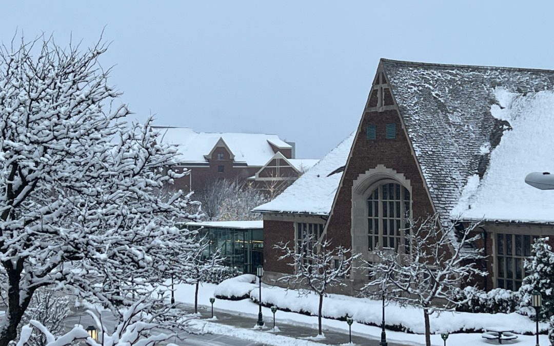 Winter exterior of Baldwin Public Library along Martin street
