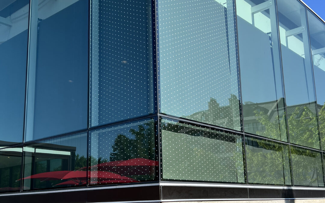 Baldwin Tests Feather Friendly Bird Deterrent on Windows